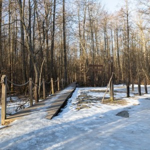 Bělověžský národní park