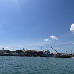 1as