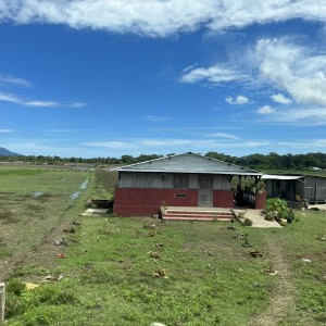 1as