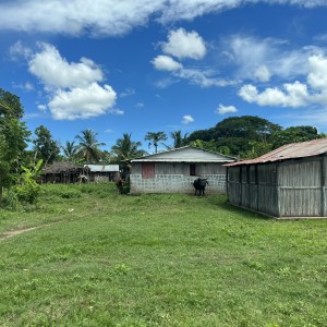 1as