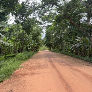 1as
