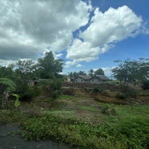 1as